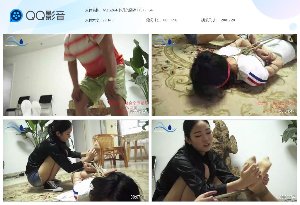 MZG264-林凡的陰謀